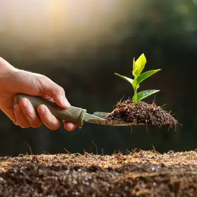 Ihren Garten neu erfinden Ihren Garten neu erfinden