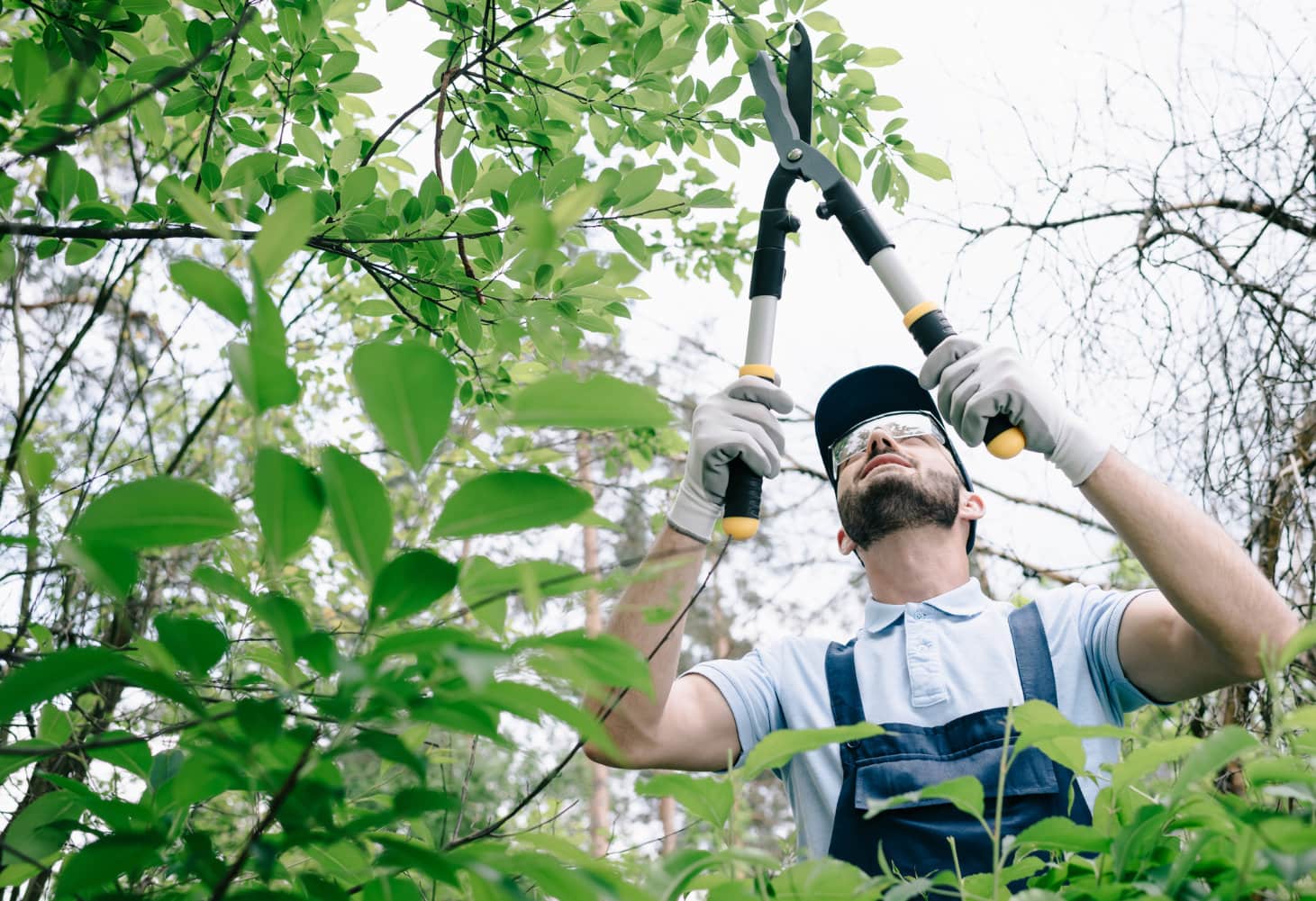 Schnittarbeiten im Garten
